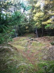 IMG 20230204 110211 kh foto