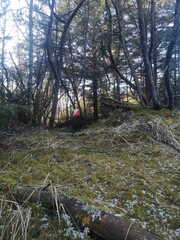 IMG 20230205 120021 kh foto