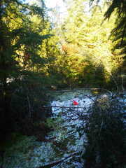 IMG 20230205 121413 kh foto
