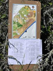 wcsgskagen (4)