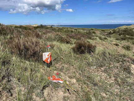 wcsgskagen (6)