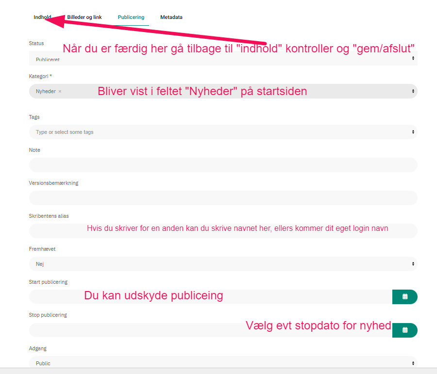 udgiv nyhed 2