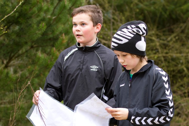 Fidnvejililleheden-5607